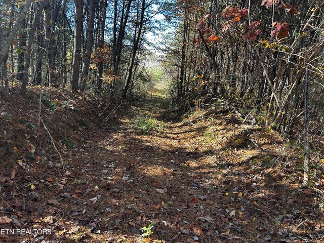 Shadden Road Lot 2, Tellico Plains, TN 37385