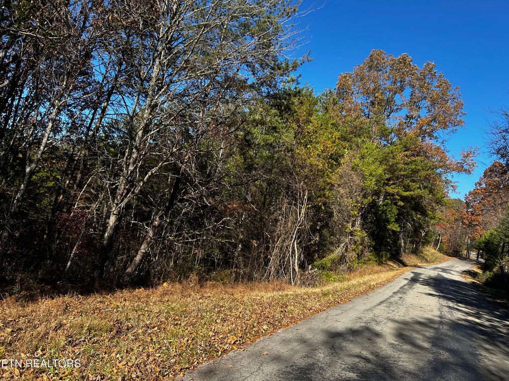 Shadden Road Lot 2, Tellico Plains, TN 37385
