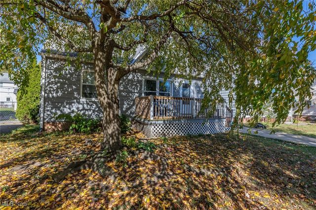 13810 Clifford Avenue, Cleveland, OH 44135