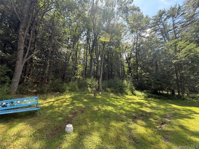 60 Highland Lake Road, Eldred, NY 12732