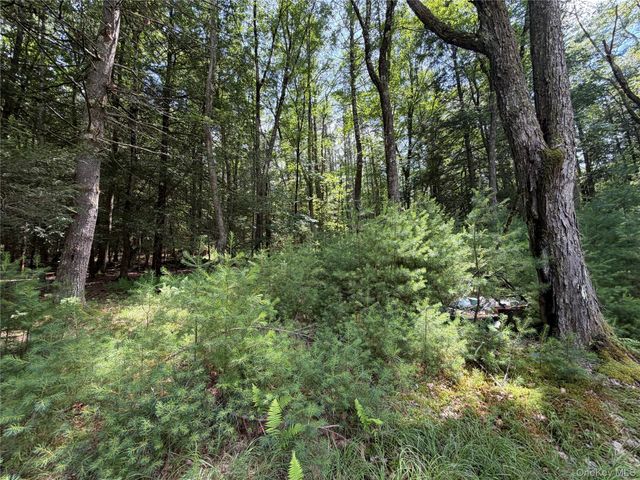 60 Highland Lake Road, Eldred, NY 12732
