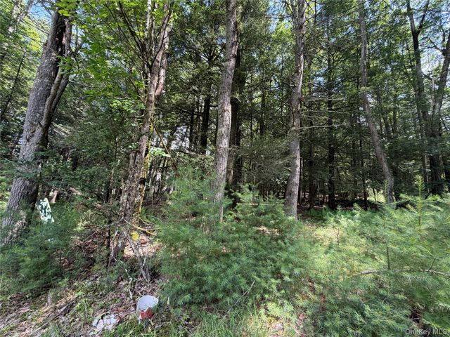 60 Highland Lake Road, Eldred, NY 12732