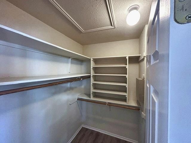 17229 Bushmills RD, Pflugerville, TX 78660