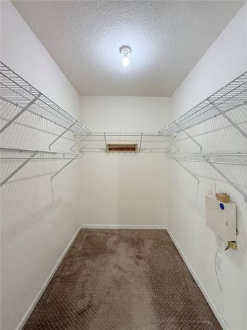 16306 PARKSTONE PALMS COURT, Tampa, FL 33647