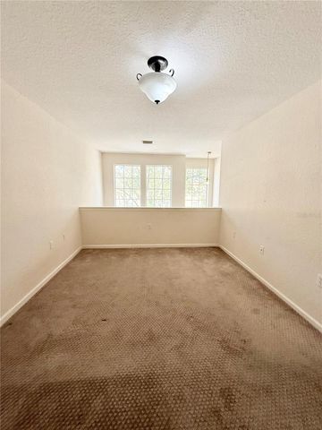 16306 PARKSTONE PALMS COURT, Tampa, FL 33647