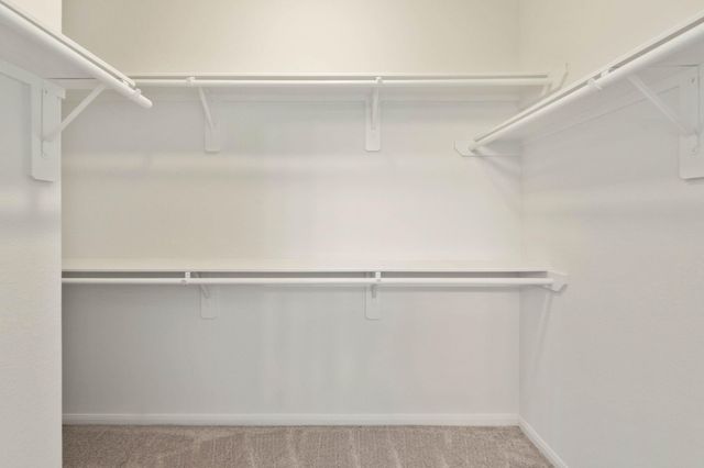 20918 New Proper Drive, New Caney, TX 77357