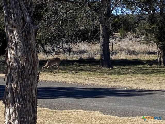 2111 Chinaberry Circle, Harker Heights, TX 76548