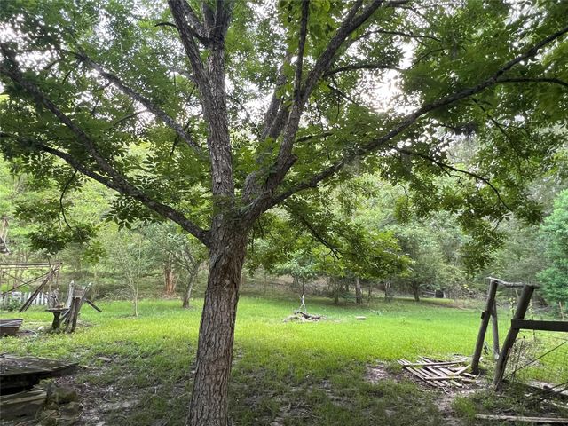Miller Ln & Tx-156, Livingston, TX 77364