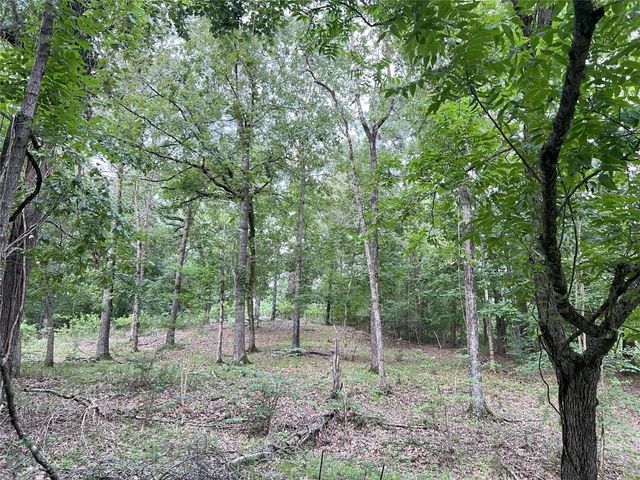 Miller Ln & Tx-156, Livingston, TX 77364