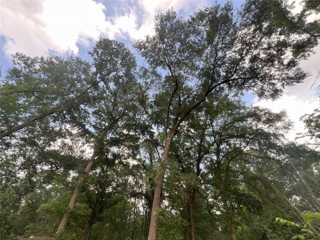 Miller Ln & Tx-156, Livingston, TX 77364