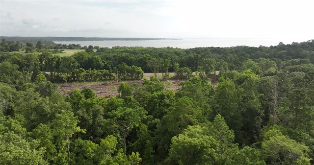 Miller Ln & Tx-156, Livingston, TX 77364