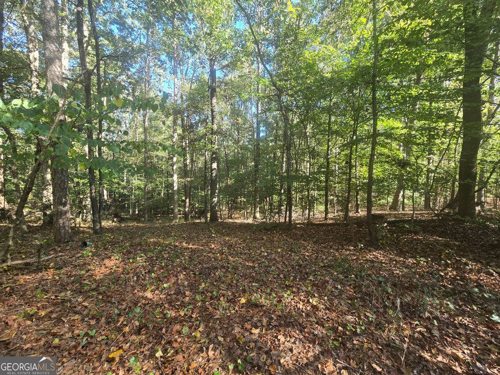 1504 Academy Church Road, Jefferson, GA 30549