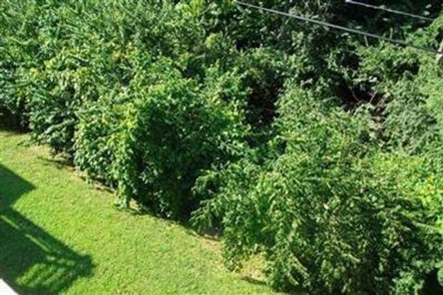 421 Redding Road 63, Lexington, KY 40517