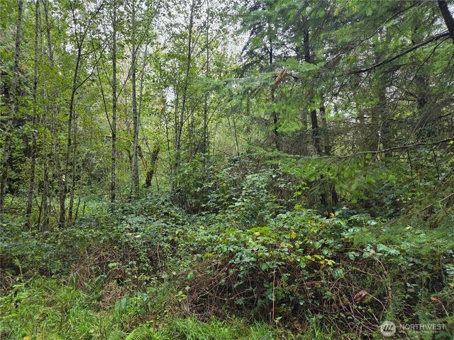 8721 Salty Drive NW, Olympia, WA 98502