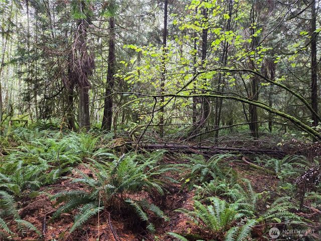 8721 Salty Drive NW, Olympia, WA 98502