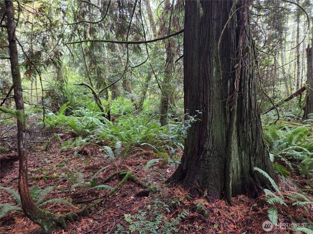 8721 Salty Drive NW, Olympia, WA 98502