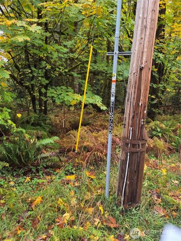 8721 Salty Drive NW, Olympia, WA 98502