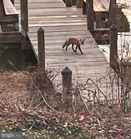 8352 ORANGE CT, Alexandria, VA 22309