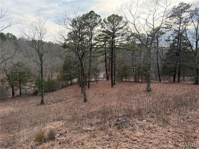 20165 State Highway AA, Potosi, MO 63664