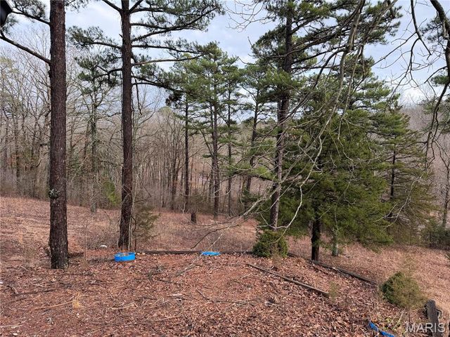 20165 State Highway AA, Potosi, MO 63664