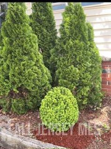 10 E William Street E, Fords, NJ 08863