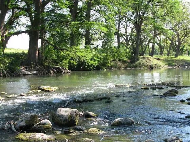 730 E Mather ST K301, New Braunfels, TX 78130