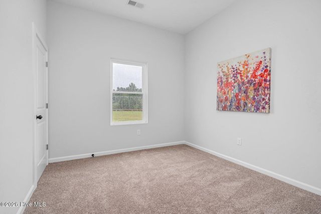 1173 Nick Coley Road, Whitakers, NC 27891