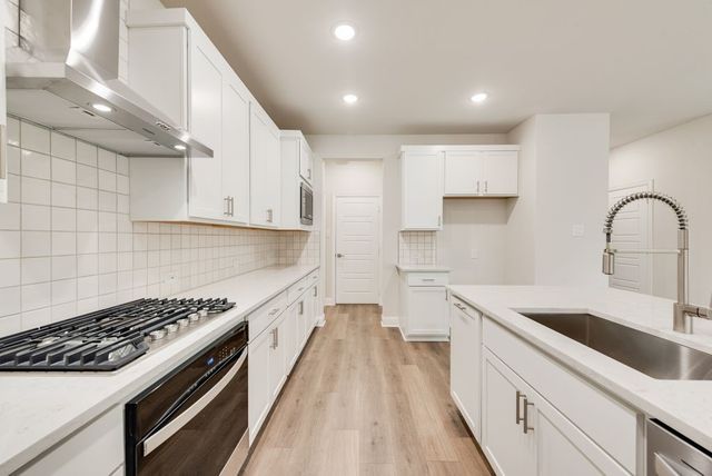 176 Ashbrook Street, Little Elm, TX 75068