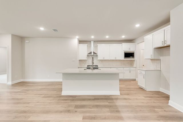 176 Ashbrook Street, Little Elm, TX 75068