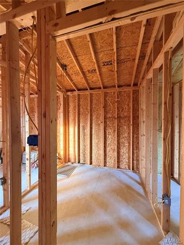 202 N Buena Vista Street, Puxico, MO 63960