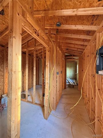 202 N Buena Vista Street, Puxico, MO 63960