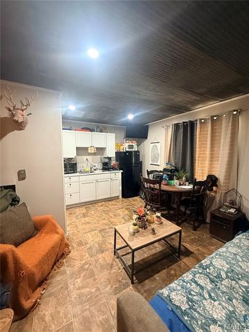 202 N Buena Vista Street, Puxico, MO 63960