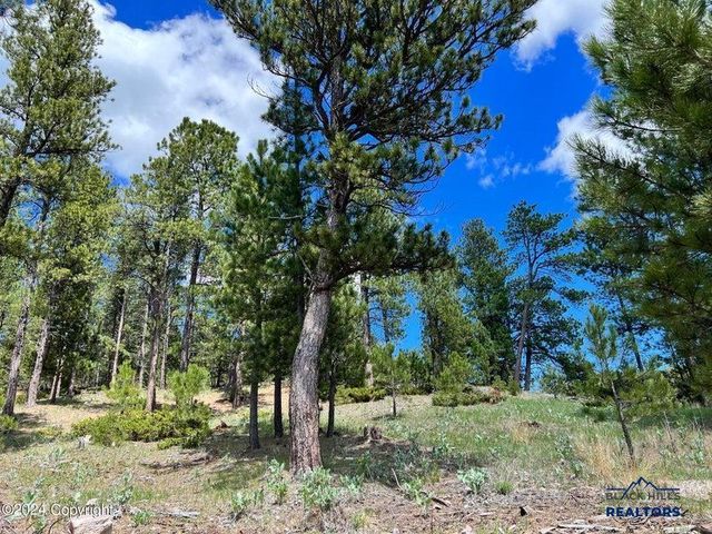 183 CROOKED PINE TRL, Four Corners, WY 82715