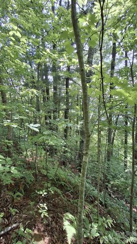 112 Kako Ridge 59, Sylva, NC 28779