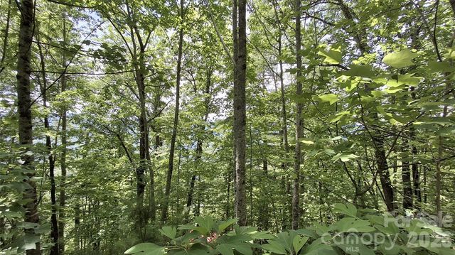 112 Kako Ridge 59, Sylva, NC 28779