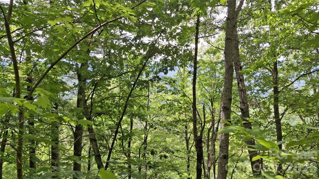 112 Kako Ridge 59, Sylva, NC 28779