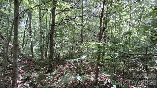 112 Kako Ridge 59, Sylva, NC 28779
