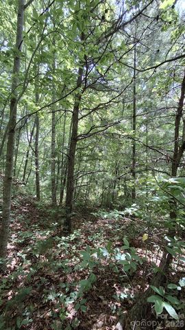 112 Kako Ridge 59, Sylva, NC 28779