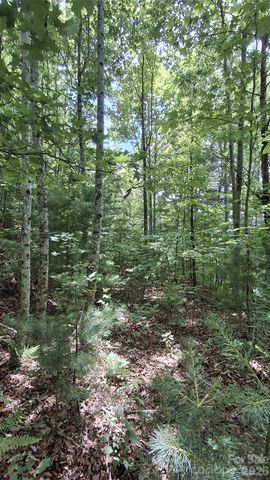 112 Kako Ridge 59, Sylva, NC 28779