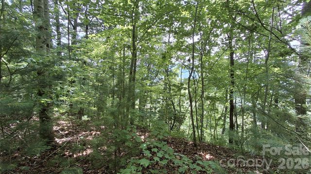 112 Kako Ridge 59, Sylva, NC 28779