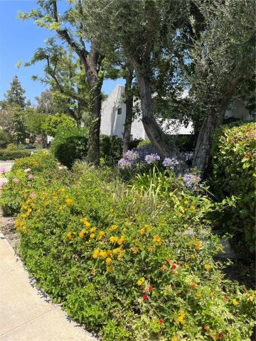 11311 Tampa 17, Porter Ranch, CA 91326