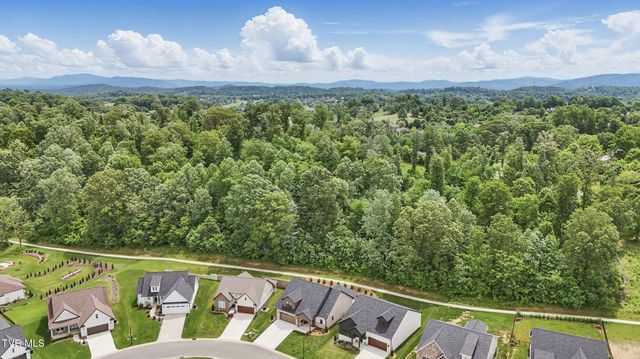 235 Winston Place, Johnson City, TN 37615