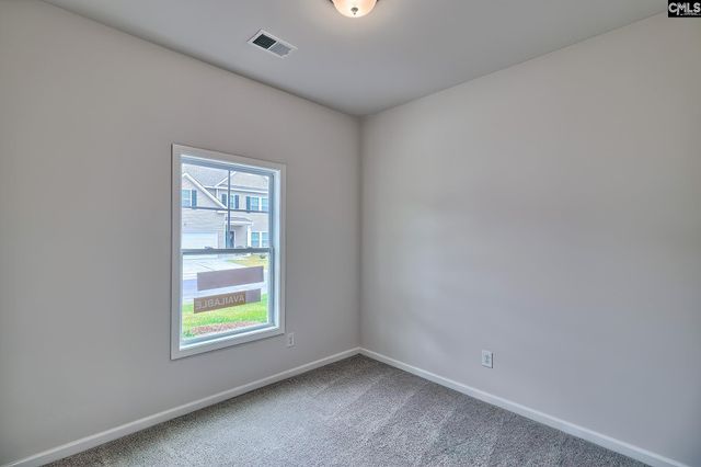 812 Daniel Lake Court, West Columbia, SC 29170