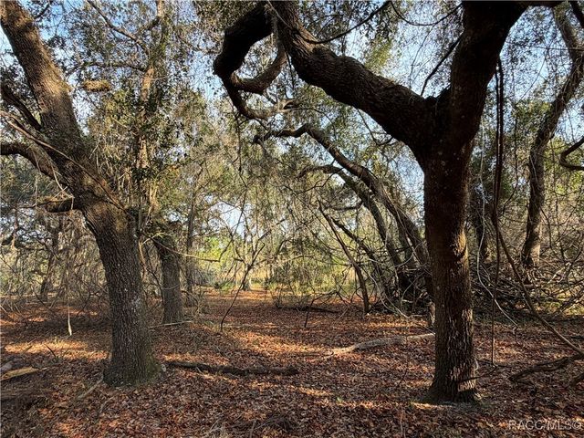 6966 E Turner Camp Road, Inverness, FL 34453