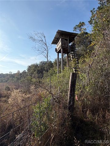 6966 E Turner Camp Road, Inverness, FL 34453