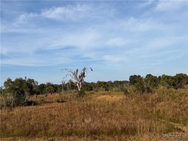 6966 E Turner Camp Road, Inverness, FL 34453