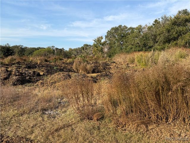 6966 E Turner Camp Road, Inverness, FL 34453