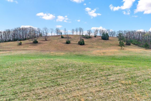3 N Nopone Valley Road, Decatur, TN 37322