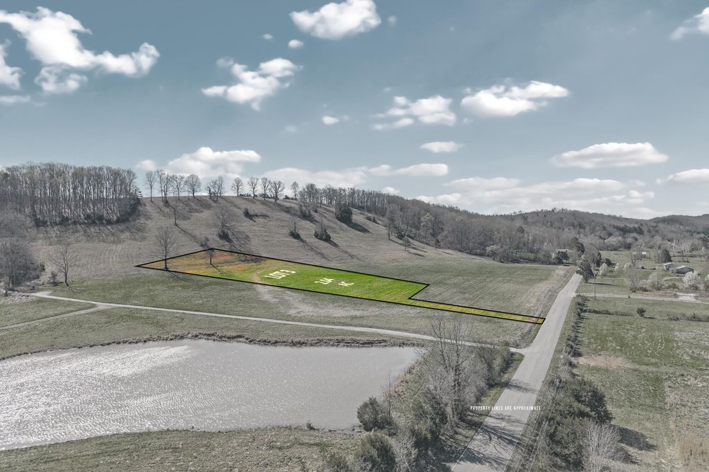 3 N Nopone Valley Road, Decatur, TN 37322