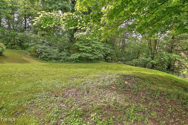 726 Hammond Avenue, Mount Carmel, TN 37645